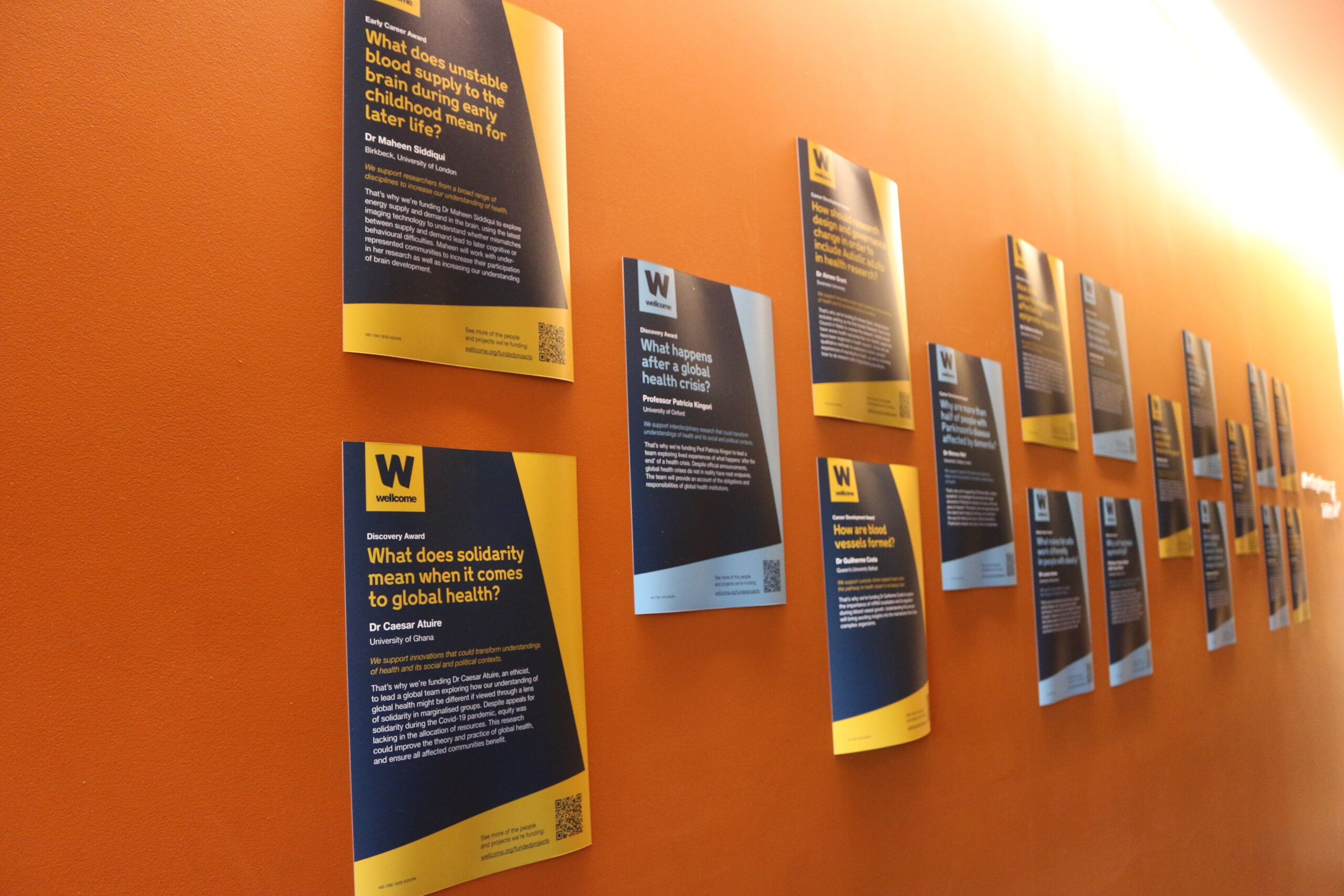 Multiple posters hanging on a wall showcasing several winners of Wellcome Awards