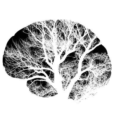 Large Scale Brain Networks in Neurological &#038; Psychiatric Disorders thumbnail
