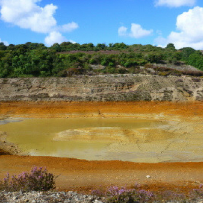 Algal Valorisation and Remediation of Acid Mine Drainage thumbnail