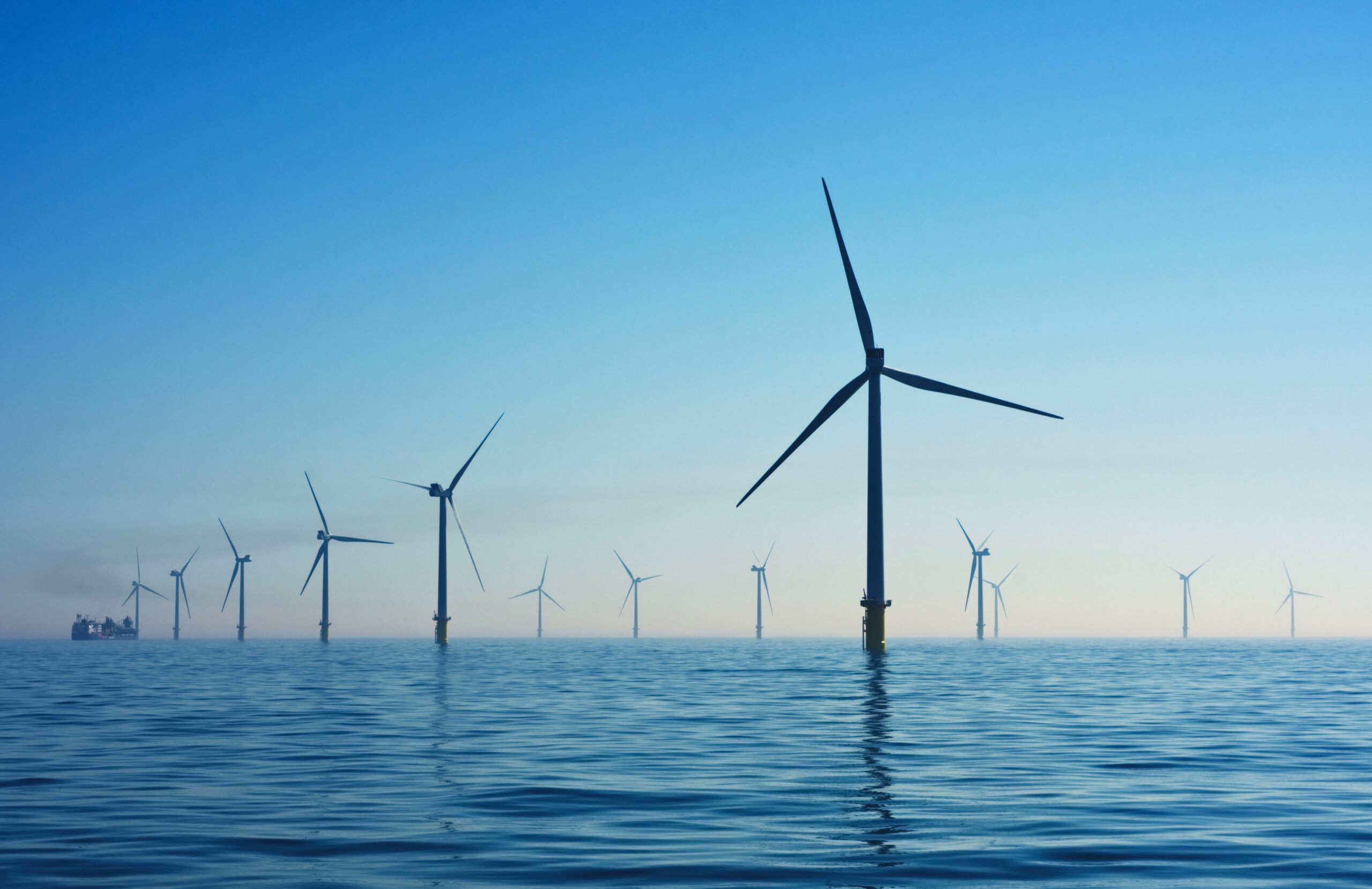 The Impact of Offshore Windfarms on Marine Organisms thumbnail