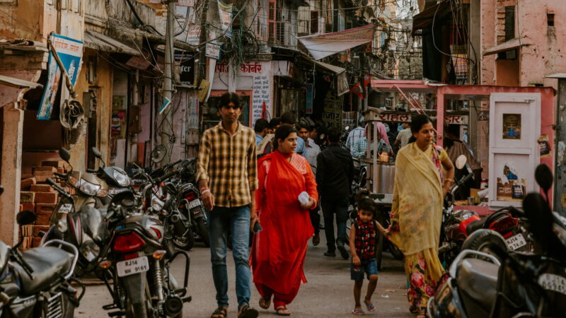 Exploring the Role of Caste System in India and Economic Development: Workshop