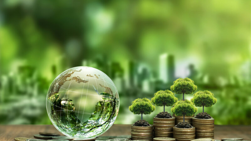 Strengthening the UK’s Sustainable Finance Future: GW4 Sustainable Finance Network’s Response to the HM Treasury Consultation