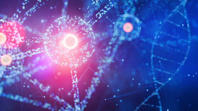 GW4 Researchers selected for inaugural BioFAIR Fellowship to advance FAIR data practices