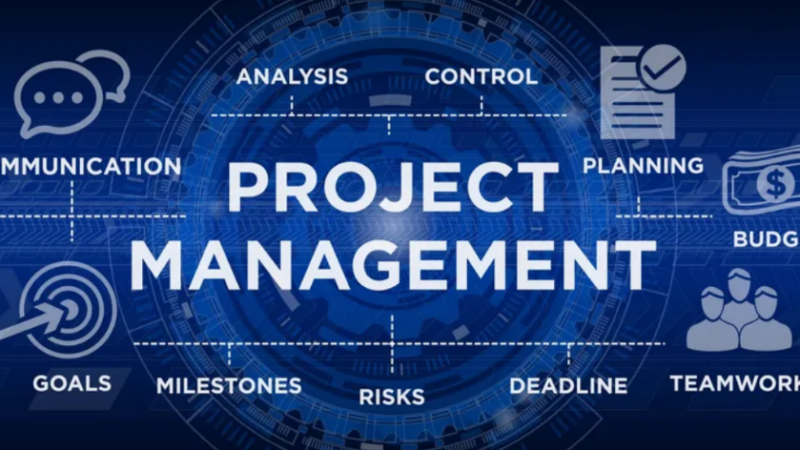 X-CITED Project Management for RTPs