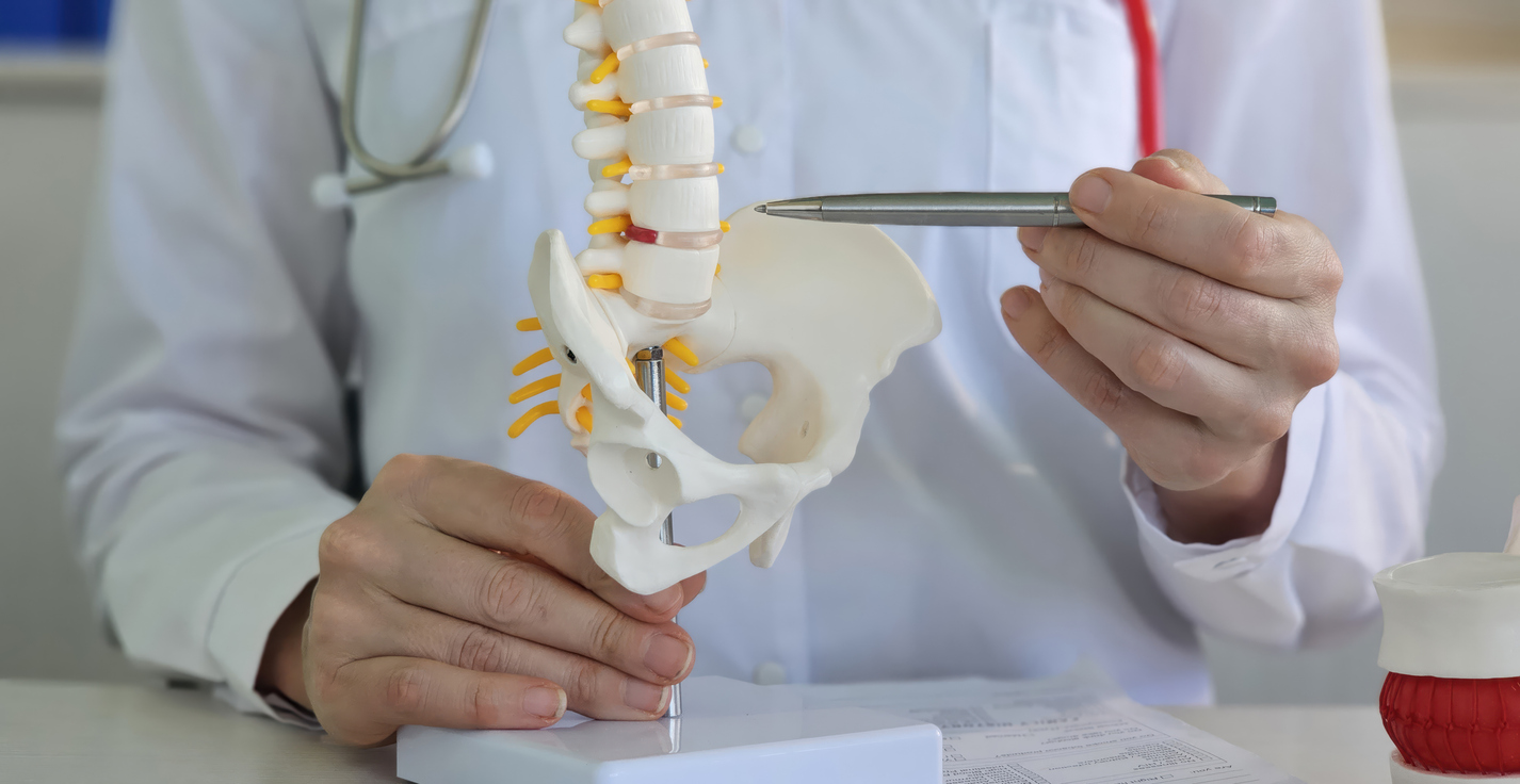 Spine Biomechanics: In Vivo In Vitro In Silico thumbnail